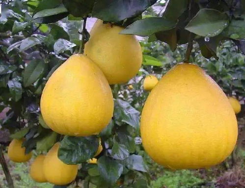 日常养护小贴士