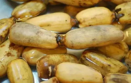 冬季莲藕保鲜技巧，确保花卉新鲜不凋谢！