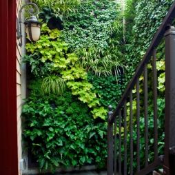 植物与未来：守护基因库