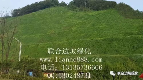 高速公路边坡绿化的重要性