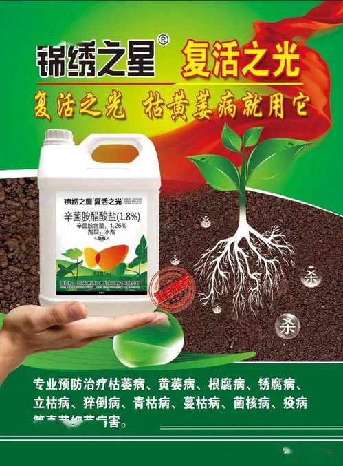 土壤病虫害防治的重要性