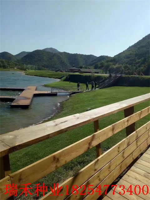 山体复绿， 草种的选择大有学问