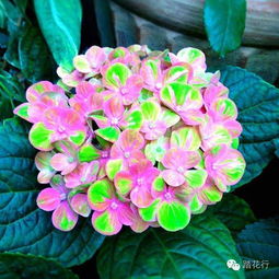 储存蚕茧， 避免伤害