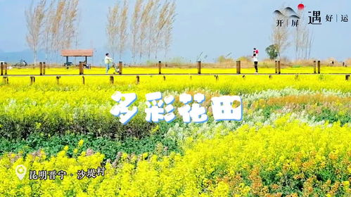 桃花， 爱情幸福的使者