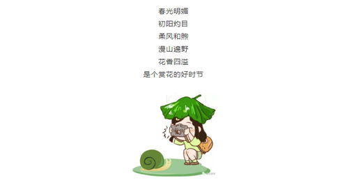 奇特的树有哪些？看完这篇你就知道了