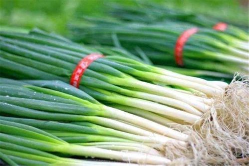 大葱锈病：了解病症， 平安食用