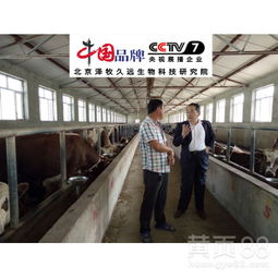 德州环山生物饲料厂，请问山东还有哪些知名饲料厂？