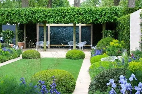 私人庭院草坪种什么草好？