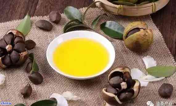 茶叶茶油价格一览：茶油渣饼每斤多少钱？