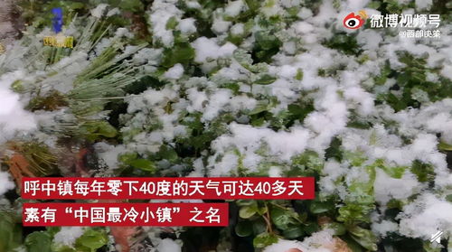 南方朋友注意， 湖南湖北可拖到12月中旬，北方老铁堪这里河北保定11月5日前必须种完