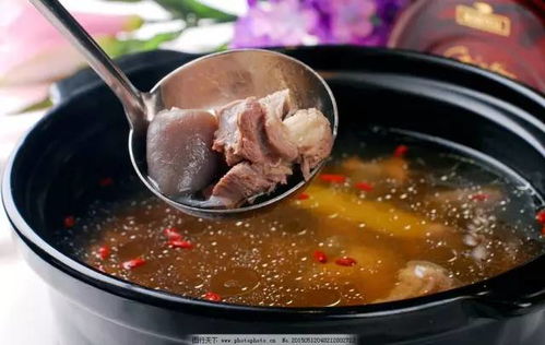 炖汤药材里的蛋白质小秘密