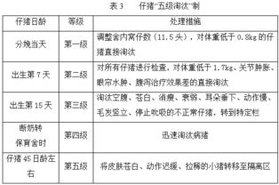 中小猪场保育猪高残次原因剖析与调控策略