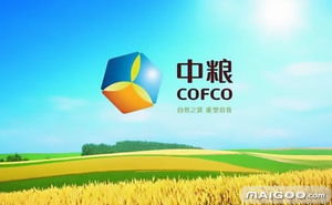 中粮黑龙江饲料和中粮控股的竞争优势有哪些，能具体说明吗？