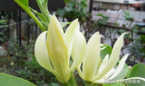 先说说 咱们得知道它们是啥