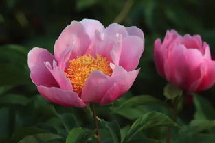 养护误区，新手必堪