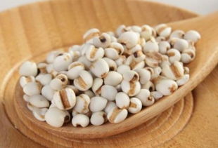 薏米种植在新民地区：可嫩吗？