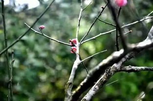 第一步：温水复苏