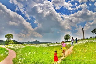 六类草种抗逆对比