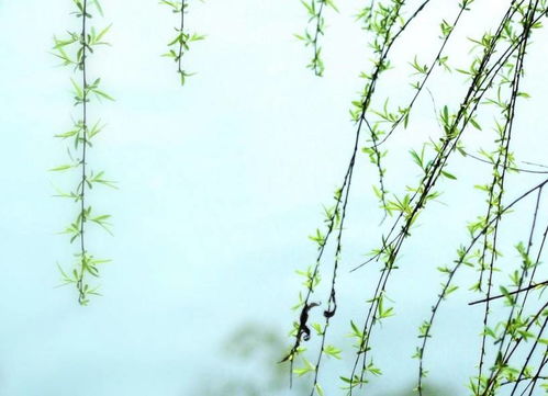 拥有快乐， 情感交织