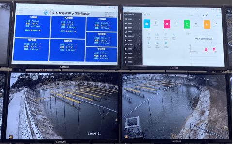 农业循环水系统水质超标应对策略大揭秘！