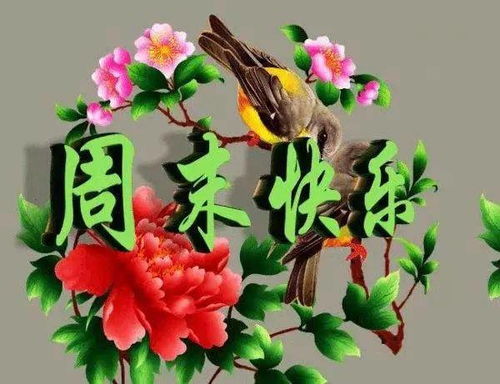 “请问‘花开祝福，芬芳传递’中的花语意义是如何传承至今