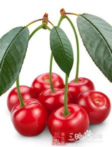 樱桃核的奇妙之旅