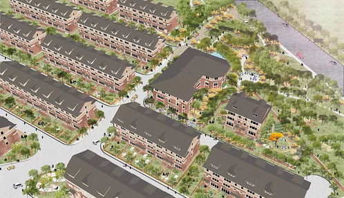 寻找绿色梦想的播种者