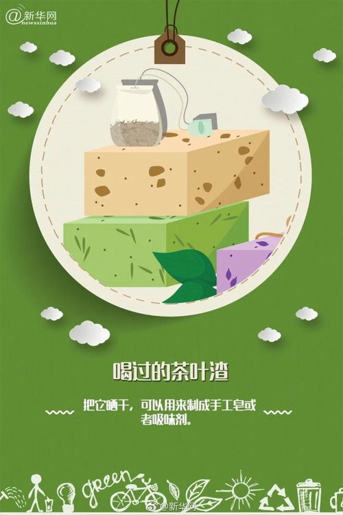 低碳生活的魅力：回归自然 拥抱绿色