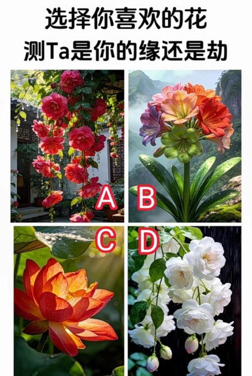 花卉中的花中皇后