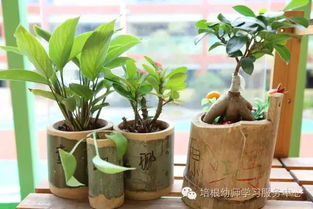 基础调酸法：厨房废料变神器