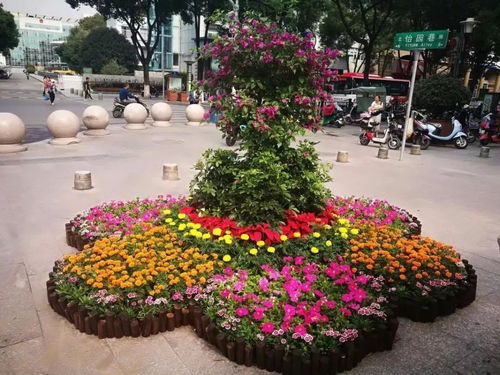 广场花卉造型摆放的奇妙之旅