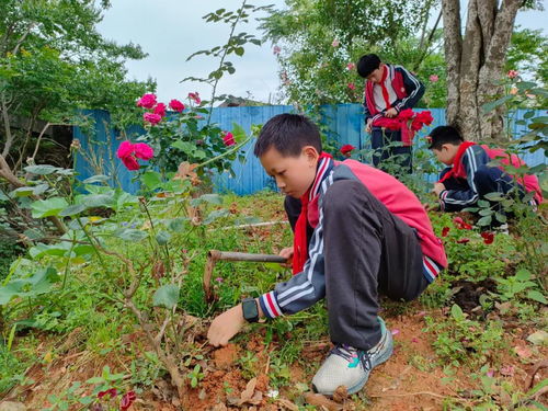 6月种植指南：挑选适合的农作物种下希望