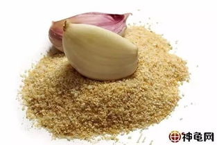 大蒜素饲料添加剂适合用于哪些动物的饲养以提高其健康和免疫力？
