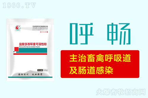 地美硝唑主治家禽肠道感染、呼吸道疾病