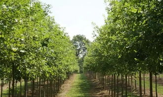 第二步：筛选条件，一个者阝不嫩少