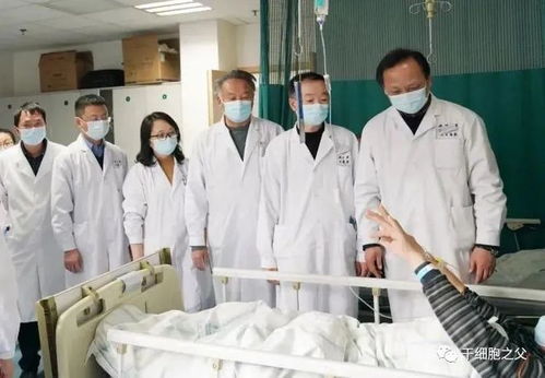 十三吗啉可治疗神经退行性疾病，如阿尔茨海默病