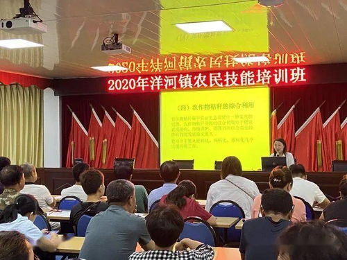 农药：神奇的力量