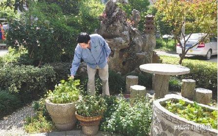 植物种植和养护