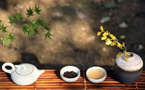 茶靡是什么？它为何如此迷人
