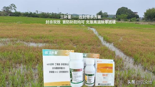 使用方法，简单易行