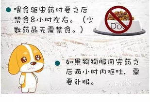 咪唑类药物：儿童驱虫的平安选择