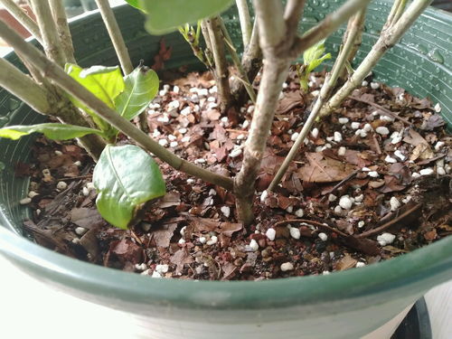 专家建议， 试试这方法