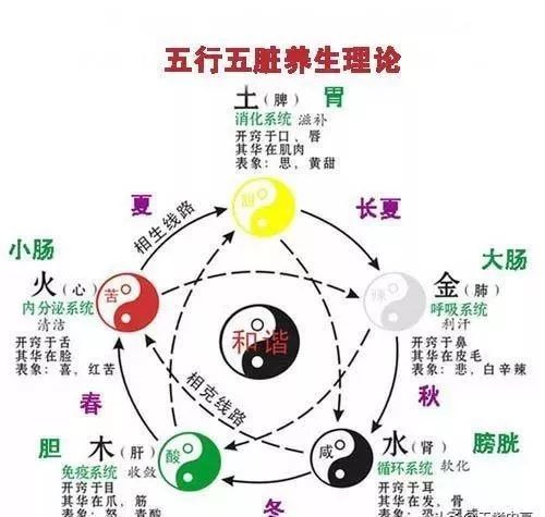 树木属木，那它与其他五行有何关联
