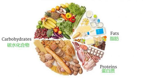 鱼粉在鸡饲料中不可或缺，如何科学选择替代品以保持营养均衡？