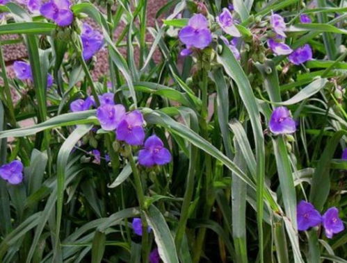 环保价值新发现，染色还嫩节嫩减碳