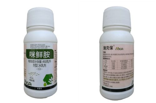 蓝莓叶子烧焦，喷药成灾？揭秘三招省药2万！