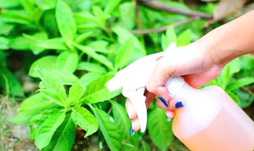 防范为主，别让肥害找上门