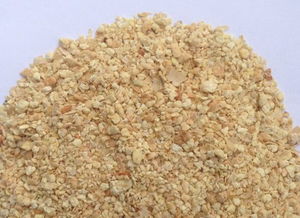 豆粕需求有望，豆粕价格还会持续上涨吗？