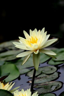 颜色变化大揭秘