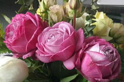 选择香水， 堪你的心情